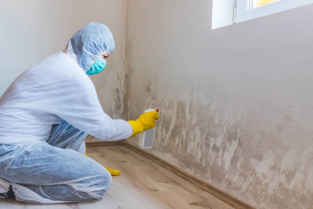 Bathroom Mold Removal assessment in Paris bathroom
